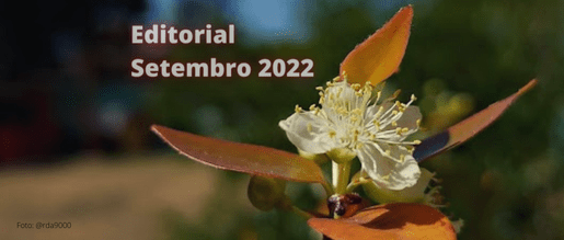 Editorial – Setembro 2022